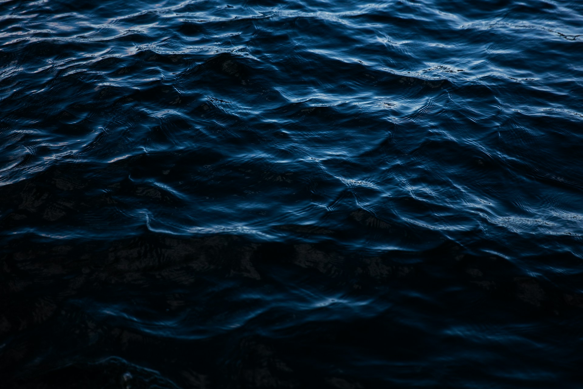 Ocean