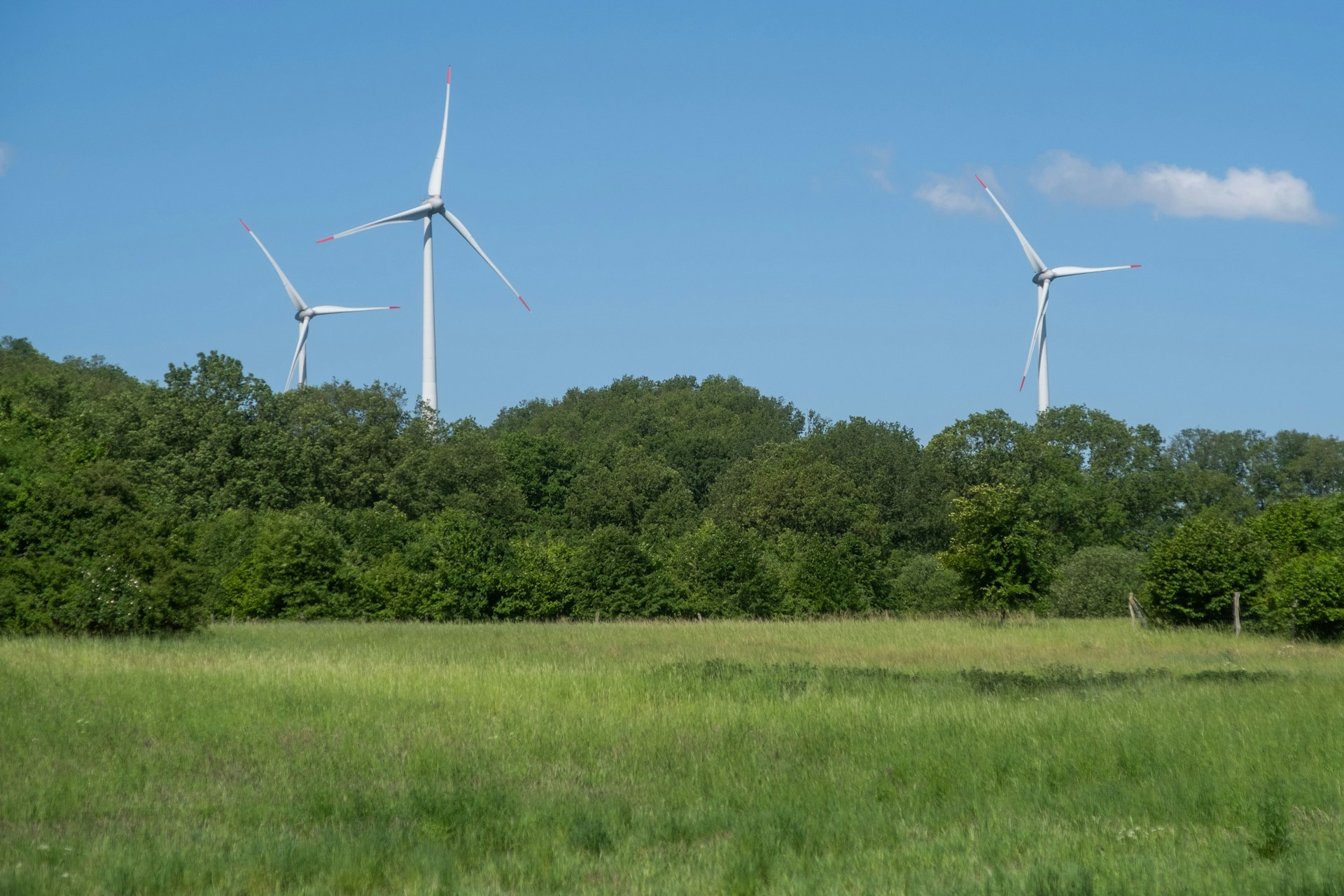 Renewable Energy
